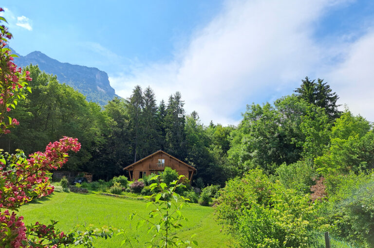 marche, paysage, afghane, foret, montagne, l'étoile du granier, nature, été, jardin, gîte, chalet, activités, atelier bien être